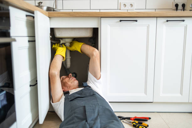 Professional Plumbing in Mowbray Mountain, TN